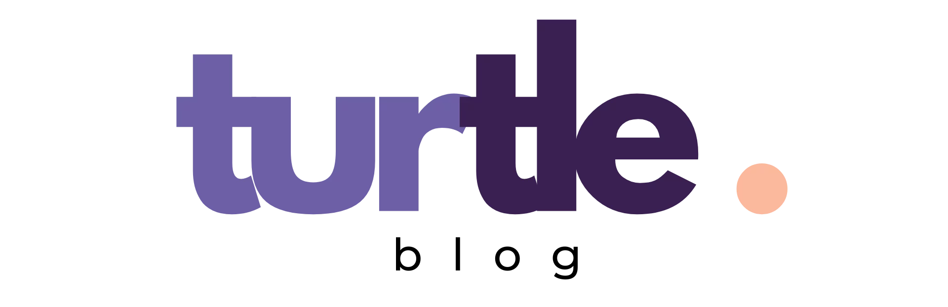 logo turtle blog seo